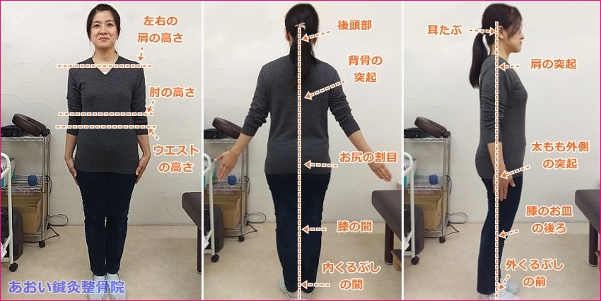 正しい姿勢とは あおい鍼灸整骨院